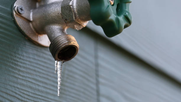 Best Drain Cleaning Services  in Sand Lake, MI