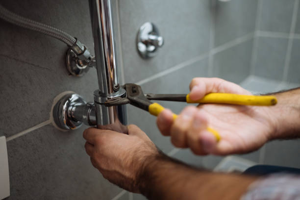 Best Plumbing Inspection Services  in Sand Lake, MI